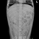 미사동물병원 이미지