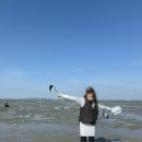 선재어린이집 | 대부도갯벌체험 두서어촌체험장 예약 솔직후기 물때확인 조개스팟꿀팁