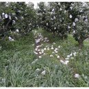 들벗농장 이미지