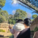 돌고래목욕탕 | 추천, 4박 5일 일정 도쿄즈니랜드 맥셀아쿠아파크 돌고래쇼 우에노 동물원 팬더 보고 왔어요 ( 맥셀...