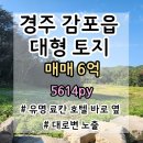 리치TOP공인중개사사무소 | 경주시 감포읍 오류리 토지 /매매/ 유명 료칸 호텔 바로 옆, 대형 토지 5614py