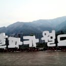 알파카월드 투어코리아