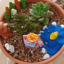 평산초등학교병설유치원 이미지