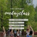 센텀은플로우요가원