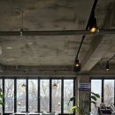 애견나라 백화점 이미지