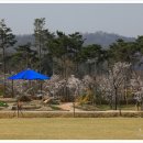 봄날의햇쌀