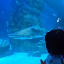 롯데또래어린이집 이미지