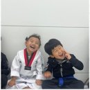 큰솔 태권도 이미지