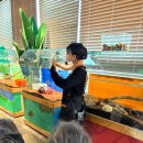 다솜생태체험관 이미지