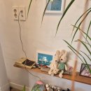 작은식당 | 제주 구좌 뇨끼 맛집 하도작은식당 예약 주차 영업시간 내돈내산 후기