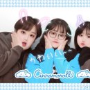 됐다됐다 뽑기샵 이미지