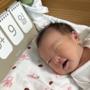 파트너스 | 프리랜서 출산지원금 신청 후기 : 쿠팡 파트너스, 애드포스트, 그외 수익