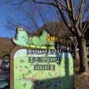 용인자연휴양림 숲속체험관 | 용인자연휴양림 | 숲속체험관, 야영데크, 카라반, 핀란드, 몽골, 한옥, 밤티골, 느티골, 캐빈하우스