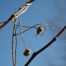 (주)소리아이 이미지