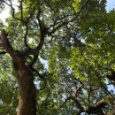 사나래민박 이미지