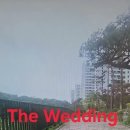 The Wedding 이미지