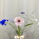 스위트드림플라워성신여대입구역