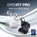 핏프로 | 운동 출퇴근에 좋은 샥즈 오픈핏 프로 T010 이어폰 후기 모음·정리