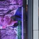 자연인 풍경이를 티비에서 봤어요^^ 이미지