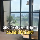 2482 | 제주애월 가성비 오션뷰 숙소 스테리나잇 클래식 객실 후기
