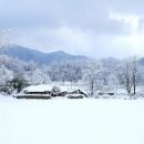 서정적인 이미지