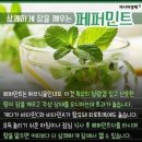 행복한의료기 이미지