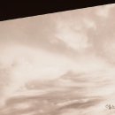 에스케이SK건강 이미지