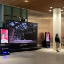 판소리 오스카와일드 이미지