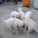 태양농장 이미지