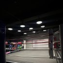 잠실복싱다이어트 이미지