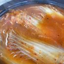 배양리두루치기 이미지