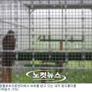 부산야생동물치료센터 이미지