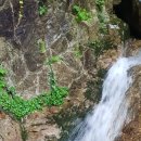 수림밸리펜션 이미지