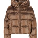 스페이스카 이미지