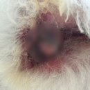 양주 온 동물병원 이미지