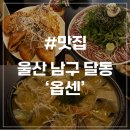 [울산 달동 맛집] 옵센(OFF SNS) 한식퓨전 전통주 전문점 하이볼 삼산동 술집 분위기 좋은곳 내돈내산