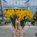 청전대로 이미지