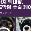 일동동물병원