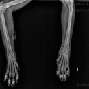 중동 우리아이 동물병원 이미지