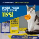 백산동물병원 이미지