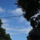 오네로 | [뉴질랜드 워홀 D+9] 오클랜드 와이헤케섬 당일치기 여행(2), 골디와이너리 투어, 오네로와 빌리지