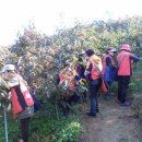 성주동주민센터 이미지