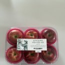 농부의 아침 | [쿠팡로켓프레시] 김기진농부의저탄소영주사과 후기