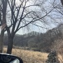 청해동태전문점 이미지