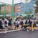 탄벌중학교