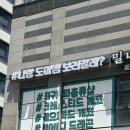 크레리즘 | 인천 영종도 파충류샵 크레리즘 후기 / 인생 첫 도마뱀 키우기 도전! 크레스티드 게코 🦎