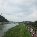 장성공설운동장3 (옥내3) | 2025 전남 장성황룡강 가을꽃축제, 아쉬웠어요..