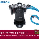 나무고아원A 이미지