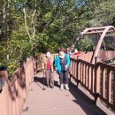 금산산림문화타운 이미지