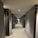 페어필드 바이 메리어트 서울(Fairfield by Marriott-Seoul) 이미지